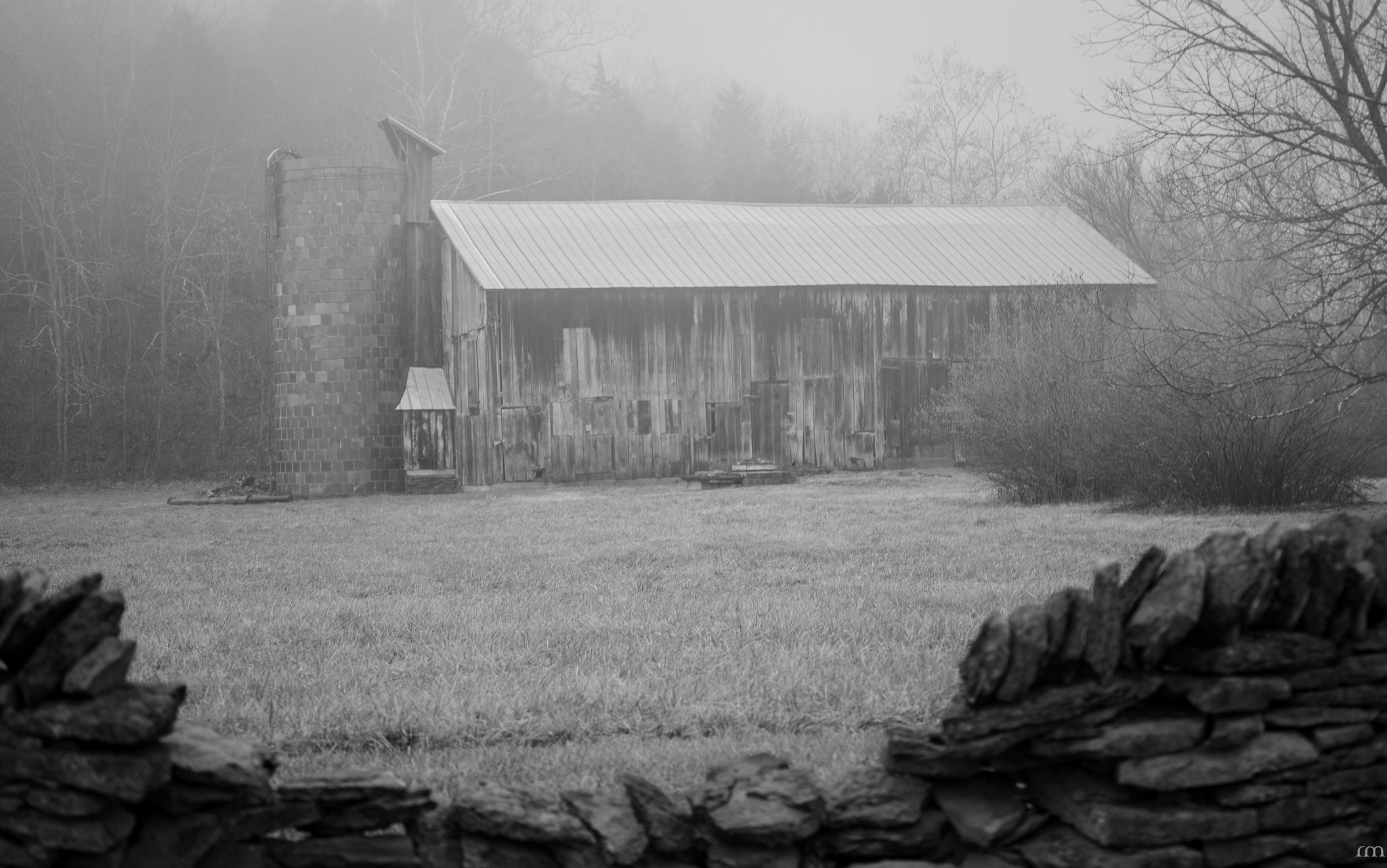 The Kentucky Steward Enters Professional Services Agreement With Trimble County